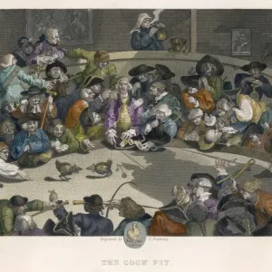 Cockfighting Print: Men Watching a Cockfight in a Ring Cockfighting Print: Men Watching a Cockfight in a Ring