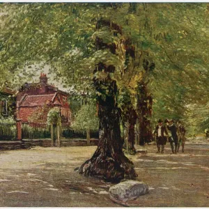 Coleridge Grove Highgate Print Coleridge Grove Highgate Print