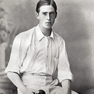 Jephson D.L.A. Jephson Cricketer Print - Surrey