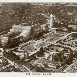 Crystal Palace Aerial View Print