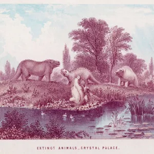Palais de cristal animaux Palais de cristal animaux
