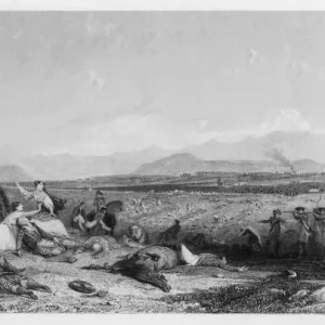 Culloden Battlefield Print: Drummossie Moor Aftermath Culloden Battlefield Print: Drummossie Moor Aftermath