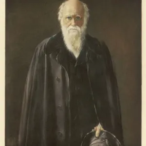Carlos Darwin Collier Carlos Darwin Collier