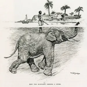 Cómo el elefante cruza un río Cómo el elefante cruza un río