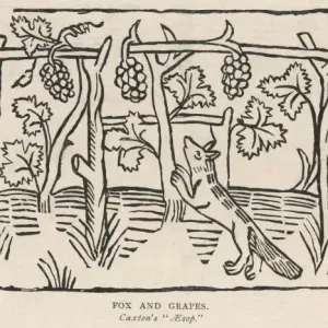 The Fox and the Grapes Print: A Fable of Sour Disappointment The Fox and the Grapes Print: A Fable of Sour Disappointment