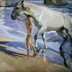 Joaquín Sorolla's White Horse Print, 1909