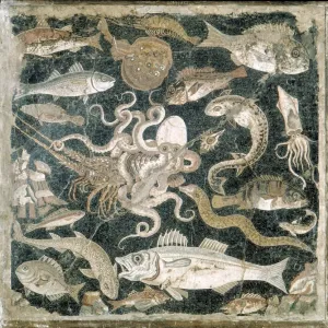 Fish Mosaic Print from Pompeii Floor Fish Mosaic Print from Pompeii Floor
