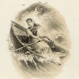Forfarshire Shipwreck 5 Print