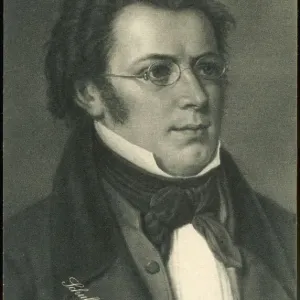 Franz Schubert Print - Austrian Composer Portrait