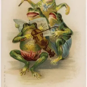 Chorusfrösche Verwandte Bilder