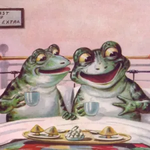 Mary Evans Prints Online circa 1890s Print: Two Frogs in Bed Mary Evans Prints Online circa 1890s Print: Two Frogs in Bed