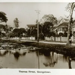 Drucke von Südamerikanische Kunstdrucke: Guyana