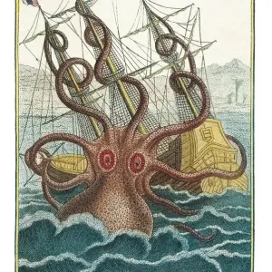 Giant Octopus Print, 1805 Giant Octopus Print, 1805