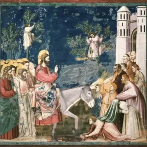Padua