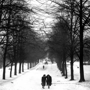 Hampstead Heath Winter Scene Print, January 1939 Hampstead Heath Winter Scene Print, January 1939