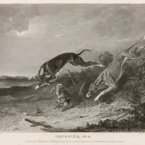 Hare Coursing Print 1835 Hare Coursing Print 1835