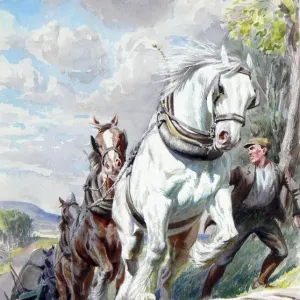 Heavy Horses Pull a Timber Wagon Print by Raymond Sheppard Heavy Horses Pull a Timber Wagon Print by Raymond Sheppard
