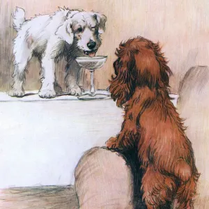 Cecil Aldin's "Heres How" Print, 1932 Cecil Aldin's "Heres How" Print, 1932