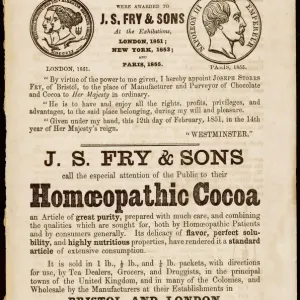 Homeopathic Cocoa Print: Diluted Chocolate Tablets Homeopathic Cocoa Print: Diluted Chocolate Tablets