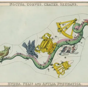 Hydra Constellation Print featuring an Owl, Raven and Sextant Hydra Constellation Print featuring an Owl, Raven and Sextant