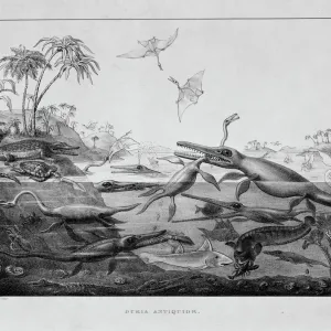 Early Jurassic Marine Reptiles Print Early Jurassic Marine Reptiles Print