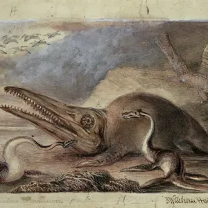Early Jurassic Marine Reptiles Print Early Jurassic Marine Reptiles Print