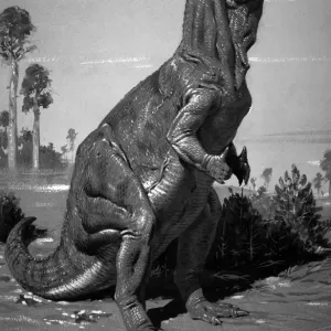 Iguanodon Print: A 14ft High, 30ft Long Lower Cretaceous Herbivore Iguanodon Print: A 14ft High, 30ft Long Lower Cretaceous Herbivore