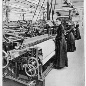 Industrie / Textilien / Wolle Industrie / Textilien / Wolle