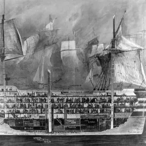 Sectional Drawing of H.M.S. Victory Interior Print Sectional Drawing of H.M.S. Victory Interior Print