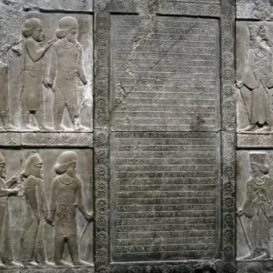 L'Iran. Persepolis. Palais de Darius Ier. Reliefs et cunéiforme i L'Iran. Persepolis. Palais de Darius Ier. Reliefs et cunéiforme i