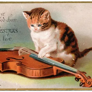 Victorian Era Kitten with Violin Print circa 1890s Victorian Era Kitten with Violin Print circa 1890s
