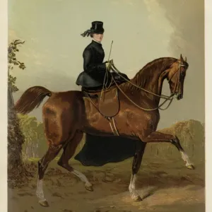 Lady Riding Sidesaddle Print, 1870s Lady Riding Sidesaddle Print, 1870s
