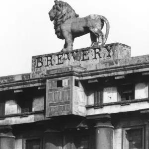 Lion Brewery Sign Print, 19th Century Waterloo London Lion Brewery Sign Print, 19th Century Waterloo London