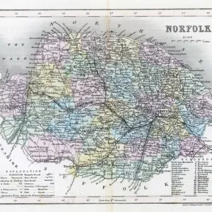Norfolk Verwandte Bilder