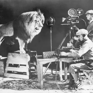 MGM Lion Recording Print MGM Lion Recording Print