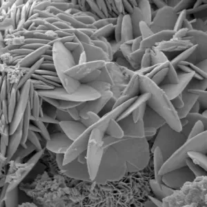 Malachite Microscopic Print Malachite Microscopic Print
