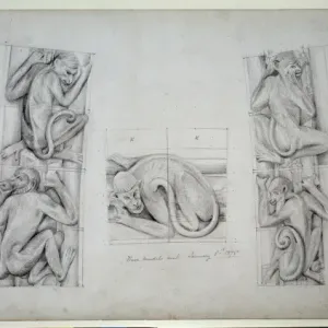 Natural History Museum Pillar Print, 1875 Natural History Museum Pillar Print, 1875