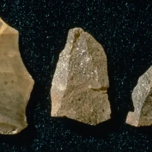 Neanderthal Man Stone Tools Print, Gorhams Cave, Gibraltar Neanderthal Man Stone Tools Print, Gorhams Cave, Gibraltar