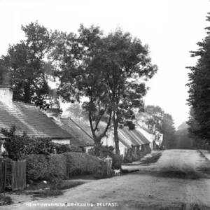 Early 20th Century Newtownbreda Print, Belfast Early 20th Century Newtownbreda Print, Belfast