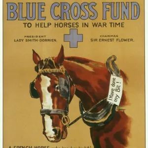 French Horse Blue Cross Fund Print French Horse Blue Cross Fund Print