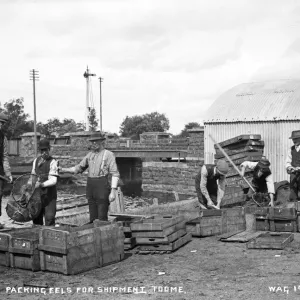 Toome Eel Packers, Early 20th Century Print Toome Eel Packers, Early 20th Century Print