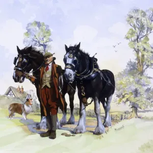 Shire Horses & Farmer Print by Malcolm Greensmith Shire Horses & Farmer Print by Malcolm Greensmith