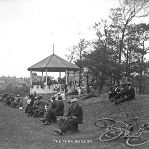 Early 20th Century Print of Ward Park, Bangor Early 20th Century Print of Ward Park, Bangor