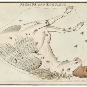 Pegasus Star Map Print Pegasus Star Map Print
