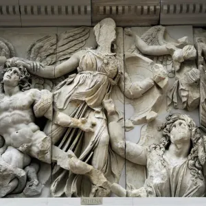 Altar de Pergamo, Atene contra el gigante Alcioneo Altar de Pergamo, Atene contra el gigante Alcioneo