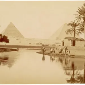 Print of the Pyramids of Gizeh with Camels Print of the Pyramids of Gizeh with Camels