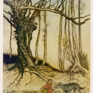 Red Riding Hood Print by Rackham and Wolf Red Riding Hood Print by Rackham and Wolf
