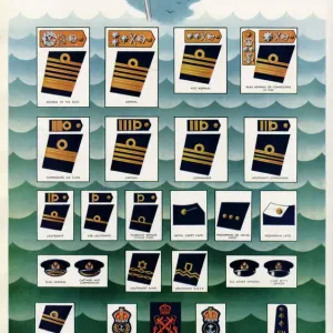 How to Recognise Rank in the Royal Navy Print 1941 How to Recognise Rank in the Royal Navy Print 1941