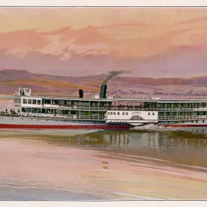 Cooks Nile Steamer The Egypt Print Cooks Nile Steamer The Egypt Print