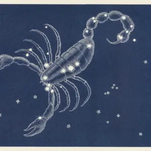 Scorpio Scorpio
